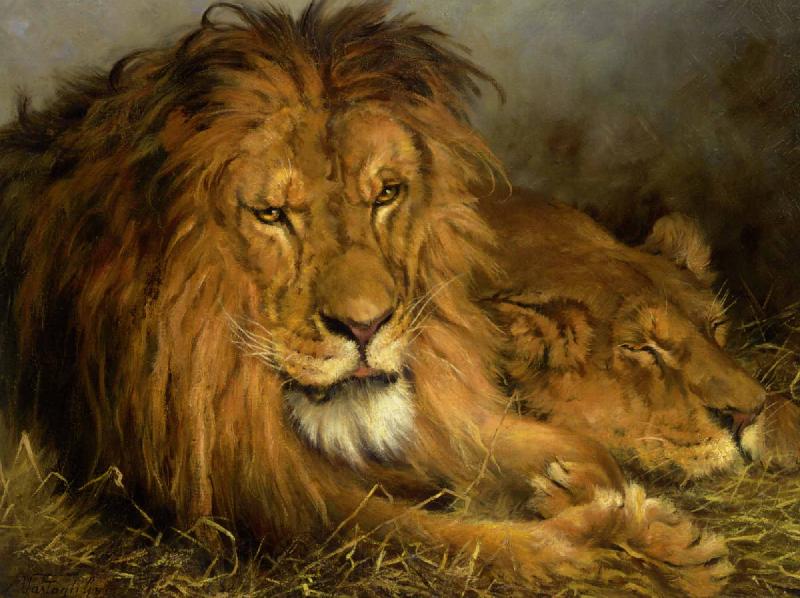 Gyorgy Vastagh Lion and a Lioness Germany oil painting art